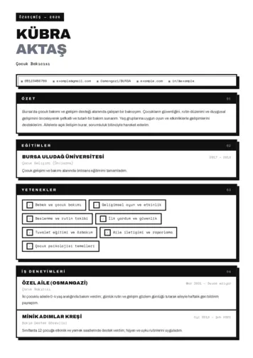 Çocuk Bakıcısı CV Örnekleri cv indir
